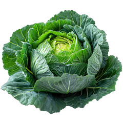 cabbage isolated on transparent background ,generative ai