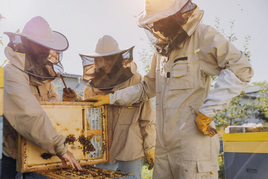Interracial team of beekeepers working to collect honey. Organic beekeeping concept. Bee queen hive.