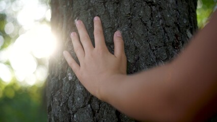 hand touches a tree in a forest park. travel nature protection adventure concept. a child's hand...