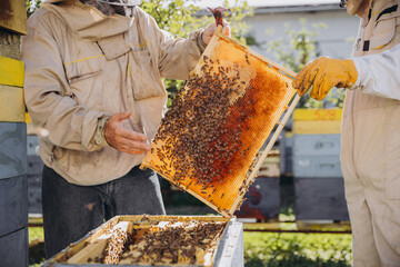 Two Beekeepers take out a frame with bees from a beehive at a bee farm © anatoliycherkas