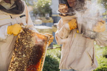 Couple of beekeepers, man and woman, taking out frame with bees from beehive at bee farm