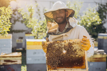 Happy Indian beekeeper takes out a frame with bees and honey from a beehive on a bee farm. The...