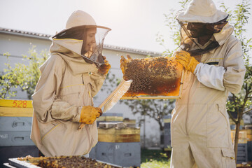 Couple of beekeepers working with a wooden frame near a beehive in beekeeping