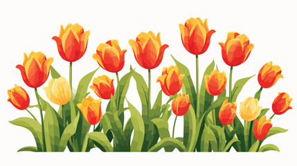 Tulips isolated on white background. at vector