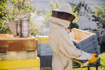 Beekeeper moves a beehive in the garden on a bee farm, beekeeping concept