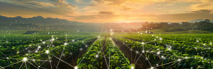 Smart farming. Future agricultural innovations. Growing crops and harvesting plants with futuristic technologies.