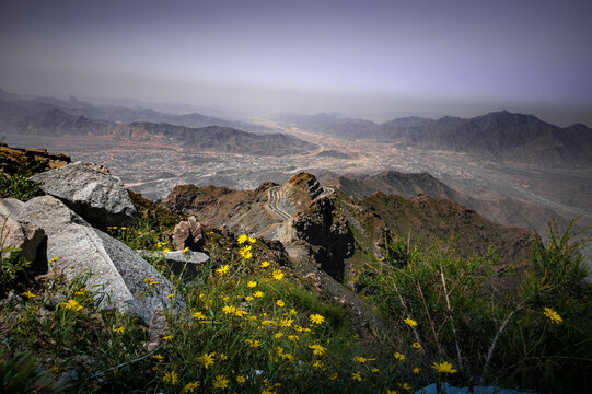 View of Taif Mountain Road, fore ground with wild flower 