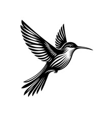Obraz premium colibri or humming bird isolated vector illustration