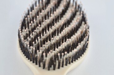 New beige oval hairbrush with bristles on a white background, closeup