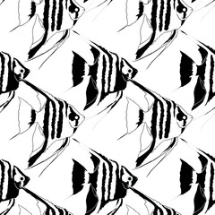 Monochrome seamless pattern. Angelfish. White background.