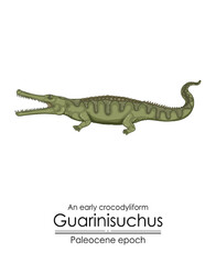 An early crocodyliform Guarinisuchus from Paleocene epoch.