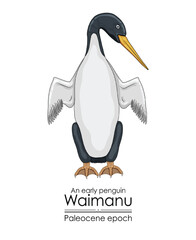 Waimanu, an early penguin from the Paleocene epoch.