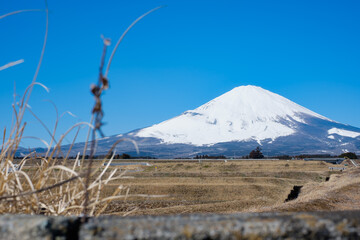 御殿場側から眺める春前の富士山