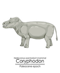 One of the first mammals, the pantodont Coryphodon, was a creature from the Paleocene period