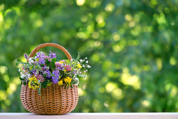 flowers bouquet in wicker basket on table in garden, abstract natural green background. spring,...
