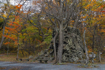 日本　青森県十和田市奥瀬十和田湖畔休屋の十和田湖湖畔にある柱に化けた溶岩と紅葉