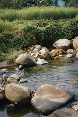 Obraz premium Refreshing Curug Sentul: Clear River Flowing from Waterfall, Surrounded by Forests, Ideal for Nature Lovers