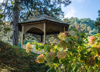 structure wooden gazebo canopy in the forest