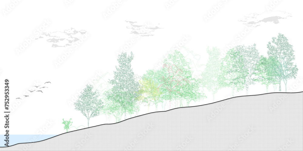 Fototapete Architectural Drawings, Minimal style cad tree line drawing, Side view, set of graphics trees elements outline symbol for landscape design drawing. Vector illustration in stroke fill in white.