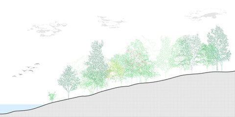 Architectural Drawings, Minimal style cad tree line drawing, Side view, set of graphics trees elements outline symbol for landscape design drawing. Vector illustration in stroke fill in white.