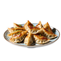 Gyoza image isolated on a transparent background PNG photo