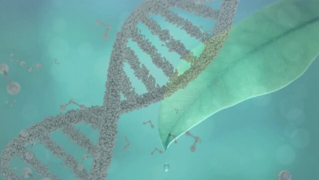 Animation of dna strand, connections and data processing over leaf and blue clouds