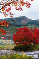 日本　青森県黒石市の虹の湖の紅葉