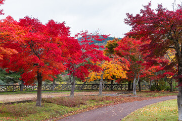 Naklejka premium 日本 青森県黒石市の虹の湖の紅葉
