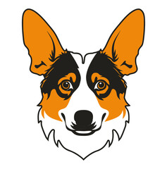 corgi dog portrait	