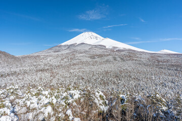 富士山　雪　富士宮