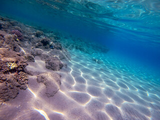 Underwater life of reef with corals and tropical fish. Coral Reef at the Red Sea, Egypt.