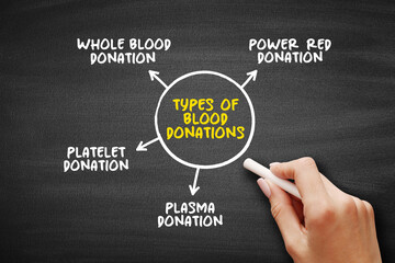 Types of blood donations mind map text concept for presentations and reports