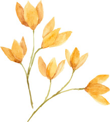 Naklejka premium Watercolor yellow flower