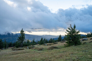 Mountain landscape with coniferous forest on a hillside.
