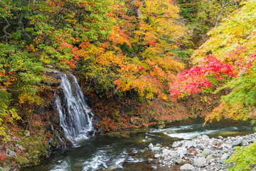 日本　青森県黒石市にある中野もみじ山の紅葉と不動の滝