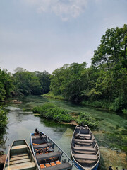 color, green, tree, waterfall, sky, paisage