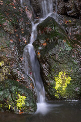 cascade, fall, rock, landscape, stone, flow, green, 