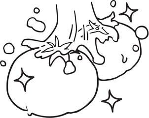 野菜を洗う線画