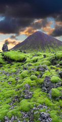 Icelandic landscape 