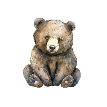 cute bear vector illustration in watercolour style
