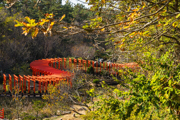 日本　青森県つがる市にある高山稲荷神社の千本鳥居