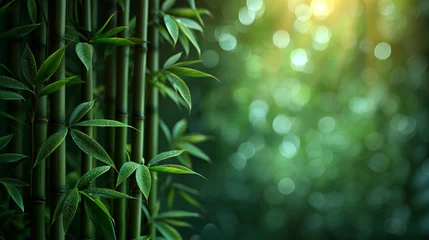 Fotobehang green bamboo background © Robin