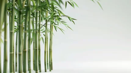 Gordijnen A white background with bamboo illuminated by studio lighting, © lc design