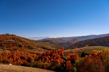 beautiful autumn landscapes in the Romanian mountains, Fantanele village area, Sibiu county,...