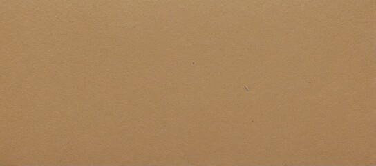 Light brown Kraft paper texture banner background

 - obrazy, fototapety, plakaty