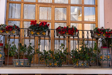 Fototapeta na wymiar A balcony with a variety of potted plants and flowers