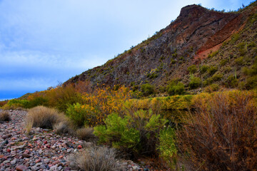 Salt River Recreation Area Arizona