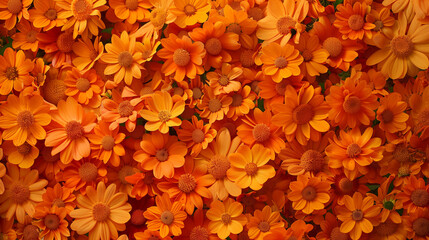 Backdrop of orange flowers - Powered by Adobe