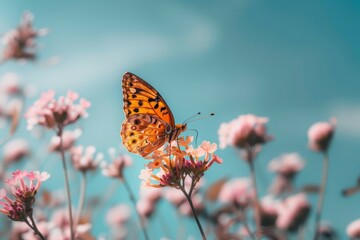 Fototapeta premium Butterfly perched on a flower against a bright sky.