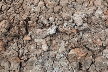 The texture of soil erosion after agricultural use. Clods of earth in an arable field. The soil needs fertilizers. 
